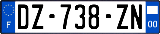 DZ-738-ZN