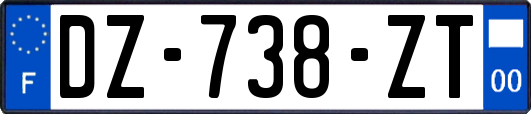 DZ-738-ZT