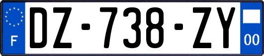 DZ-738-ZY