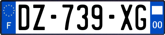 DZ-739-XG