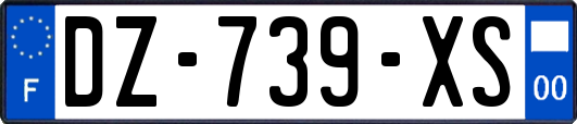 DZ-739-XS