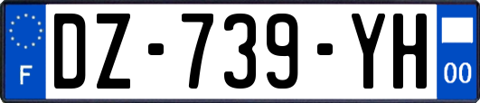 DZ-739-YH