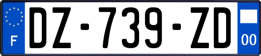 DZ-739-ZD