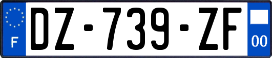 DZ-739-ZF