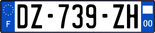 DZ-739-ZH