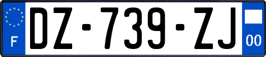 DZ-739-ZJ