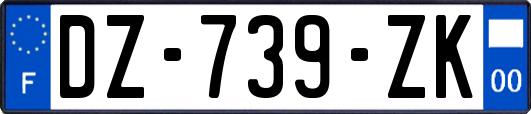 DZ-739-ZK