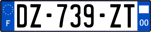 DZ-739-ZT