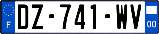 DZ-741-WV