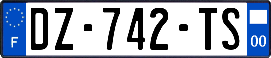 DZ-742-TS