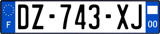 DZ-743-XJ