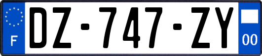 DZ-747-ZY