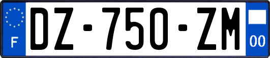 DZ-750-ZM