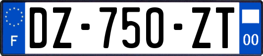 DZ-750-ZT