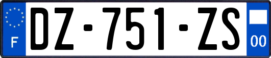 DZ-751-ZS