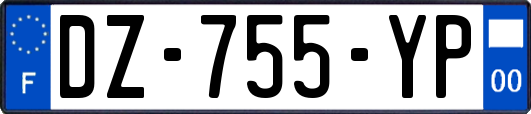 DZ-755-YP