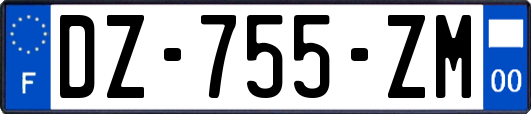 DZ-755-ZM