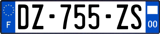 DZ-755-ZS