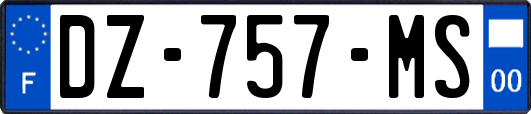 DZ-757-MS