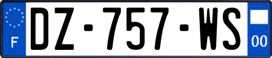 DZ-757-WS