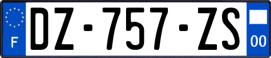 DZ-757-ZS