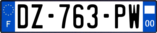 DZ-763-PW