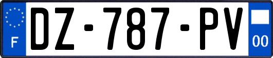 DZ-787-PV