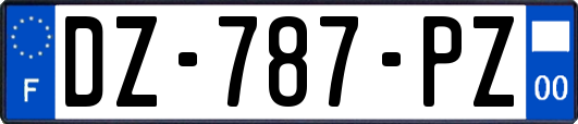 DZ-787-PZ