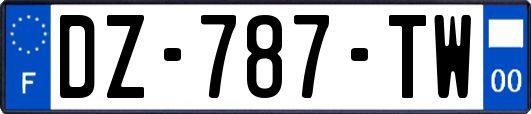 DZ-787-TW