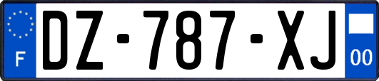 DZ-787-XJ