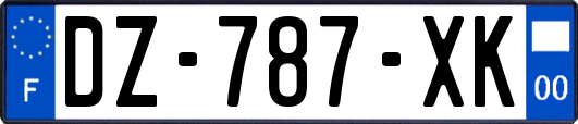 DZ-787-XK