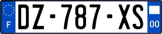 DZ-787-XS