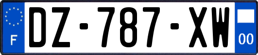 DZ-787-XW