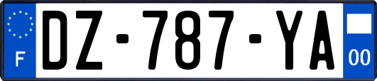 DZ-787-YA