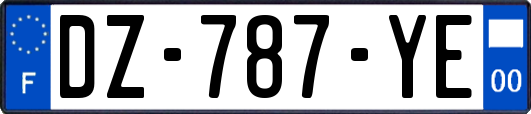 DZ-787-YE