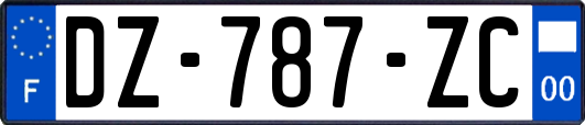 DZ-787-ZC