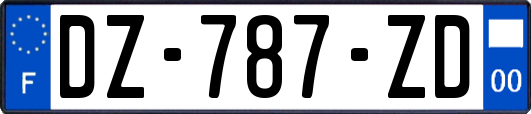 DZ-787-ZD