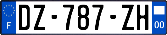 DZ-787-ZH