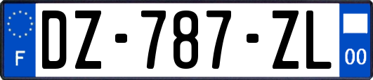 DZ-787-ZL