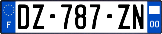 DZ-787-ZN