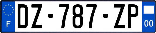 DZ-787-ZP