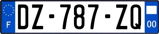 DZ-787-ZQ