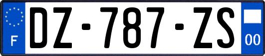 DZ-787-ZS