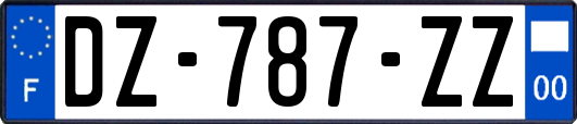 DZ-787-ZZ