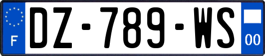 DZ-789-WS