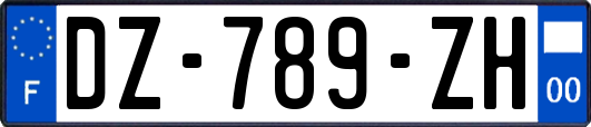 DZ-789-ZH