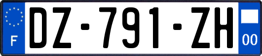 DZ-791-ZH