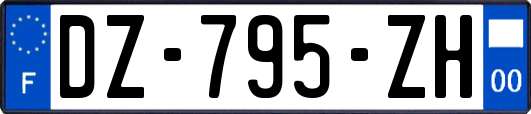 DZ-795-ZH