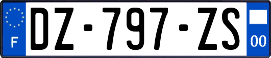 DZ-797-ZS