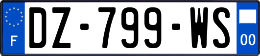 DZ-799-WS